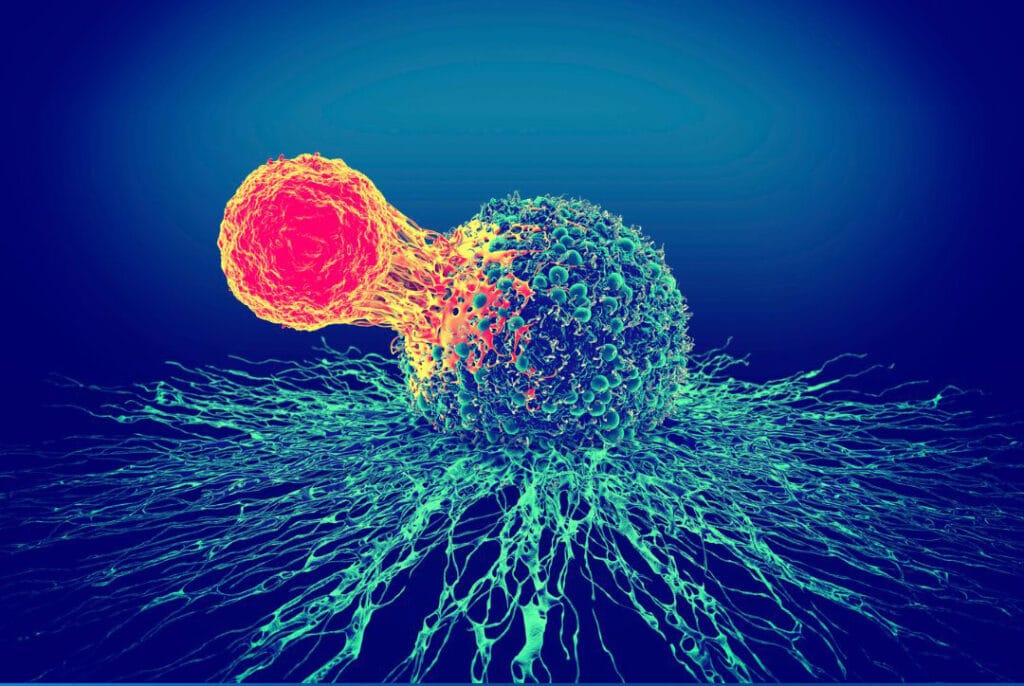 Navigating Immune Challenges in Space: Insights and Solutions