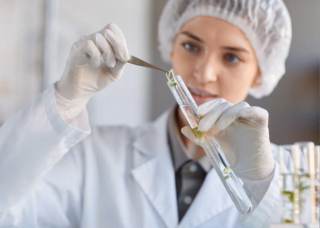 Clean lab space with a scientist working