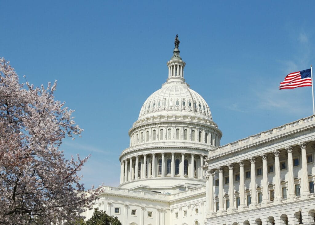 U.S. Capitol dome & flag